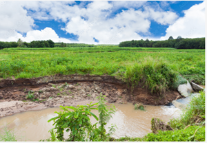 Geohazard Risk Management Program Development