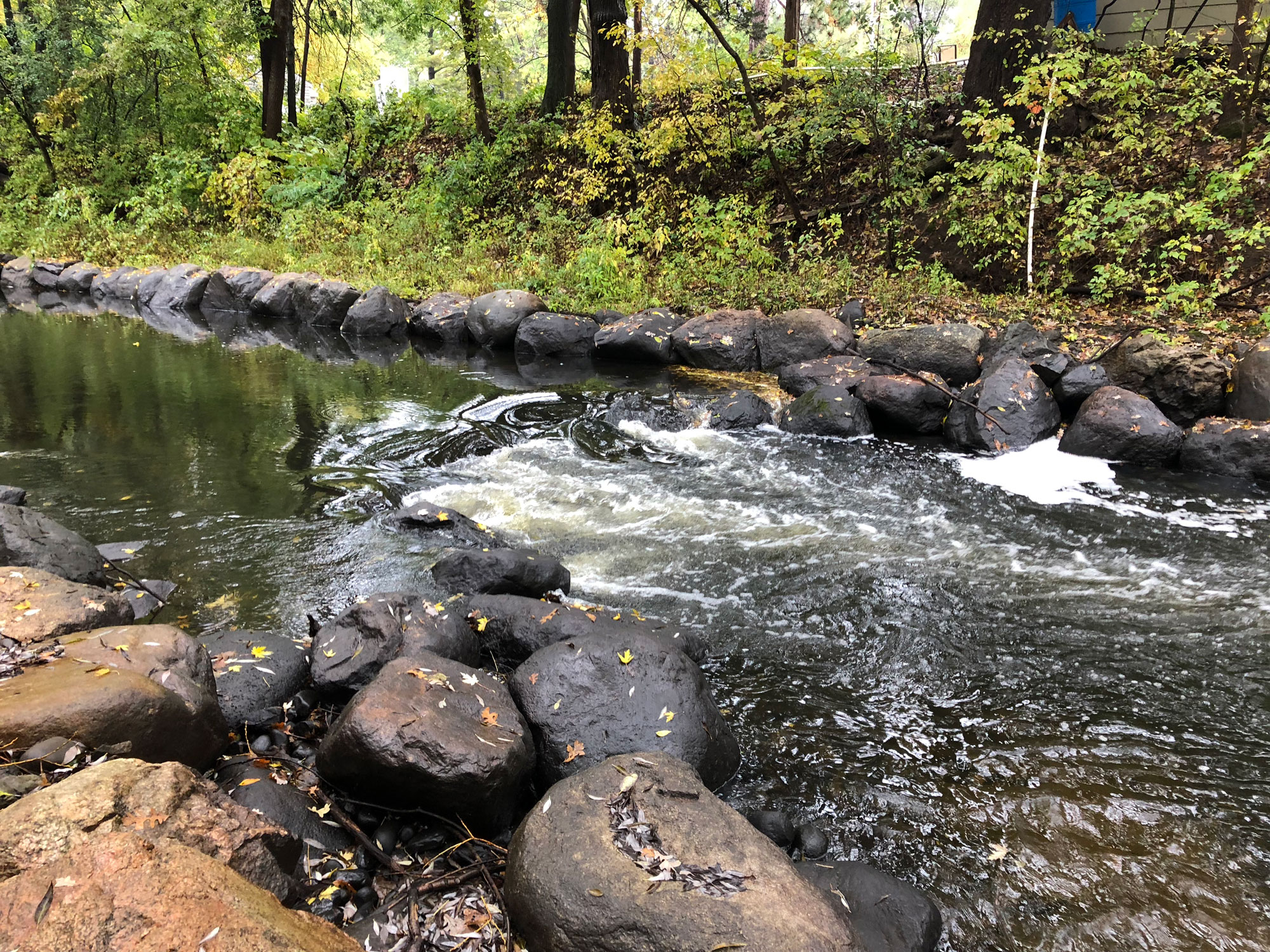 Mill Pond Restoration WSB