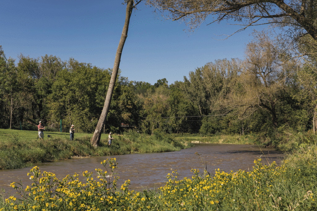 The Three Key Benefits of Stream Restoration WSB