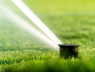 watering the lawn with the help of automatic spray systems