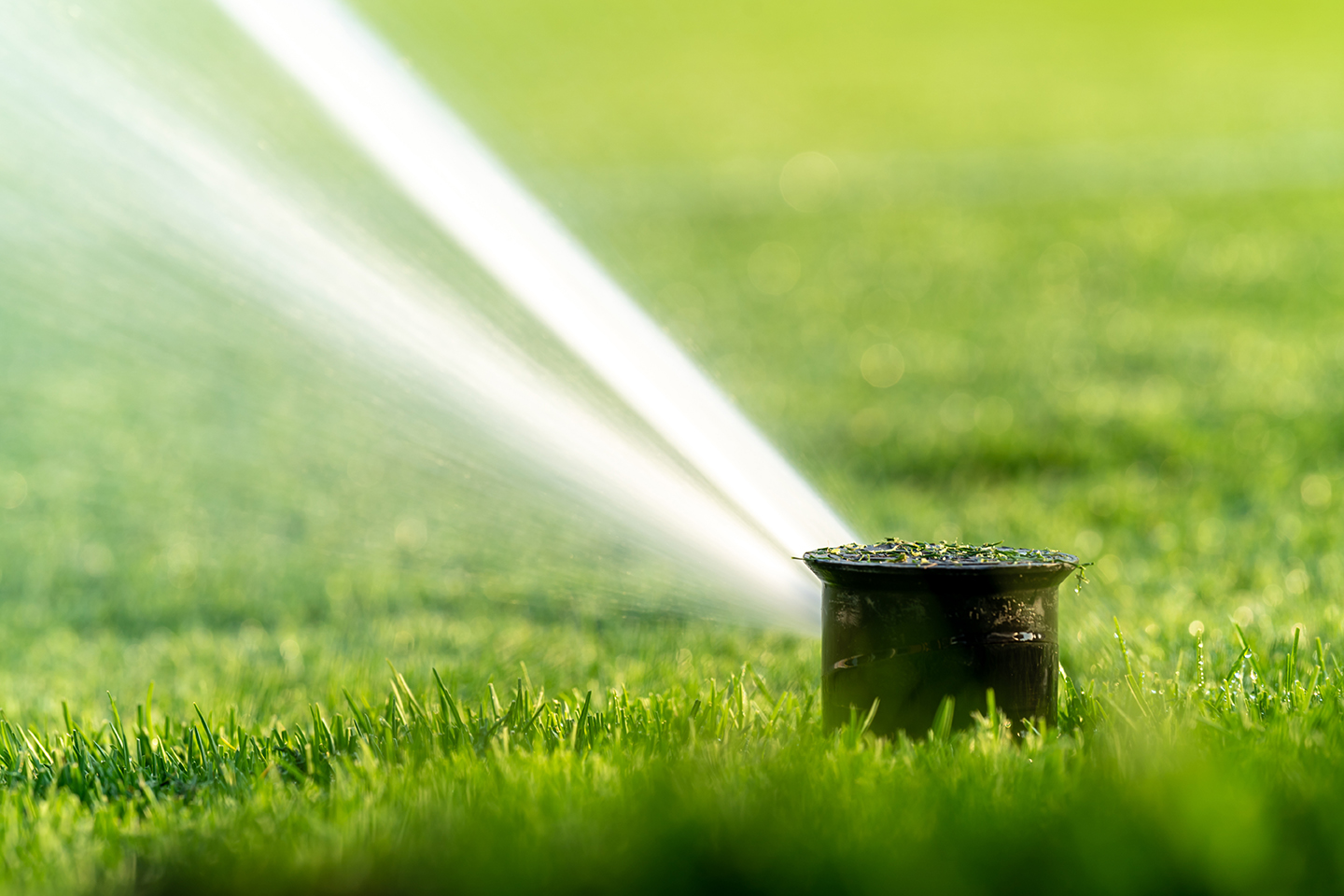 watering the lawn with the help of automatic spray systems