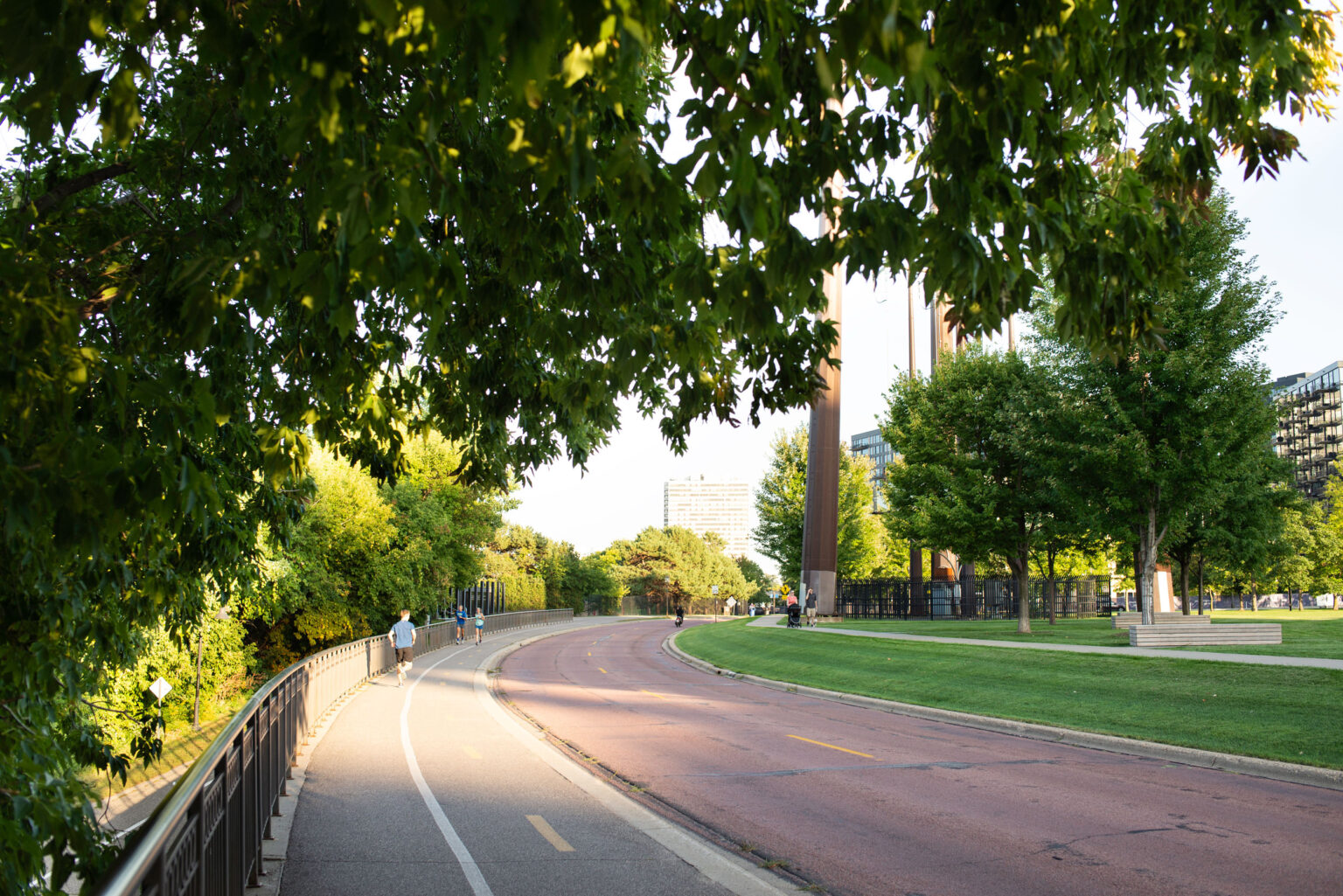Understanding Tree Canopy Cover to Support Sustainability Goals