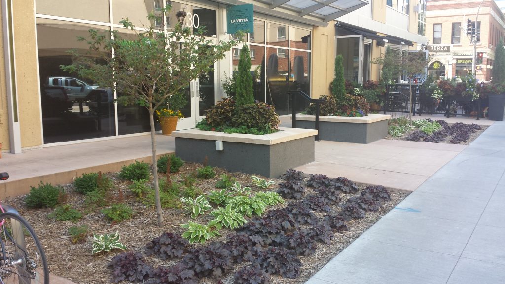 H3 Redevelopment: 3rd Street Streetscape Improvements