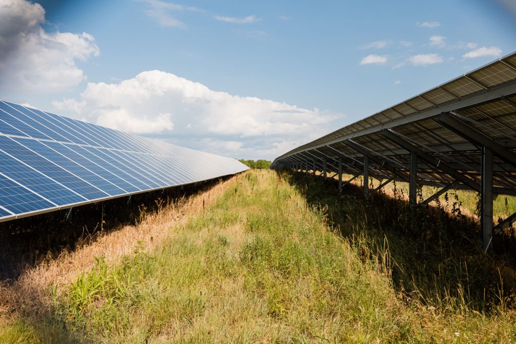 Orion Solar Belt Project: Powering the Future with Google’s Largest Solar Investment
