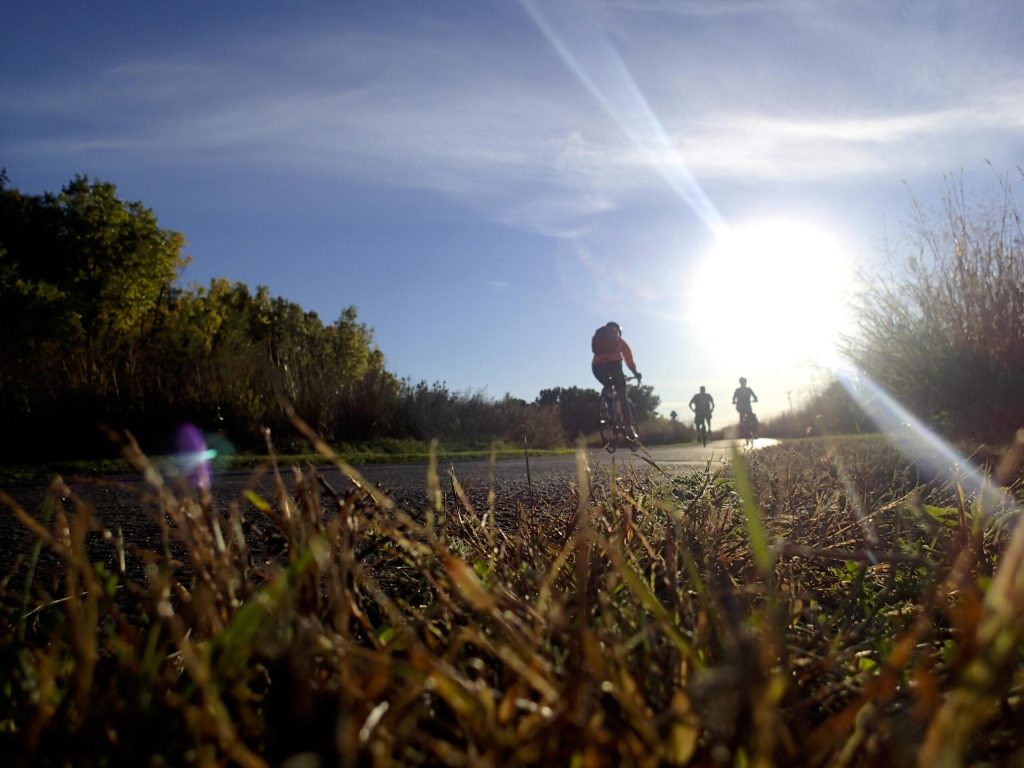 What Is Driving the Demand for Bike and Pedestrian Park Space?