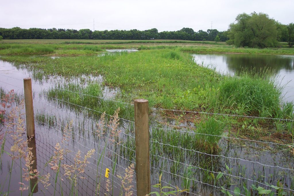 How the DNR’s flood risk review could affect Minnesota communities