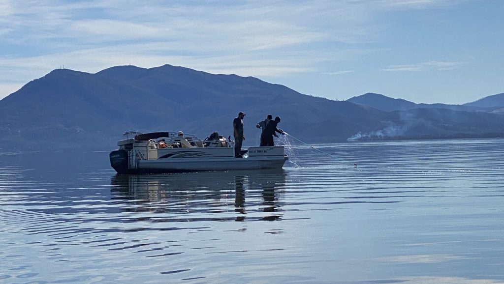 Clear Lake Carp and Goldfish Management – Phase 1