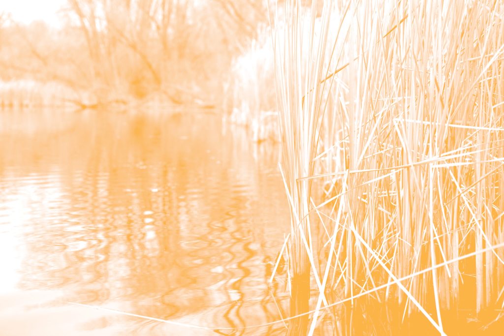 Waste Reduction: How to Make a Difference