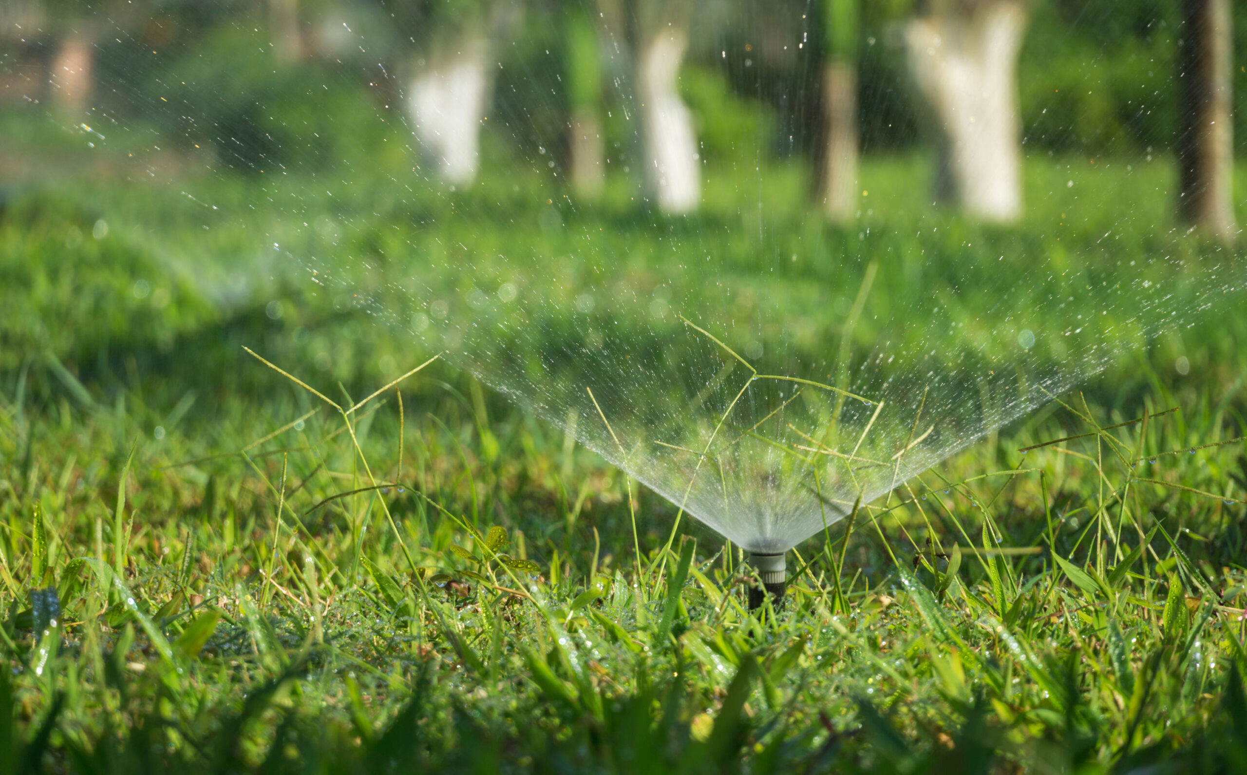 Image of sprinkler.