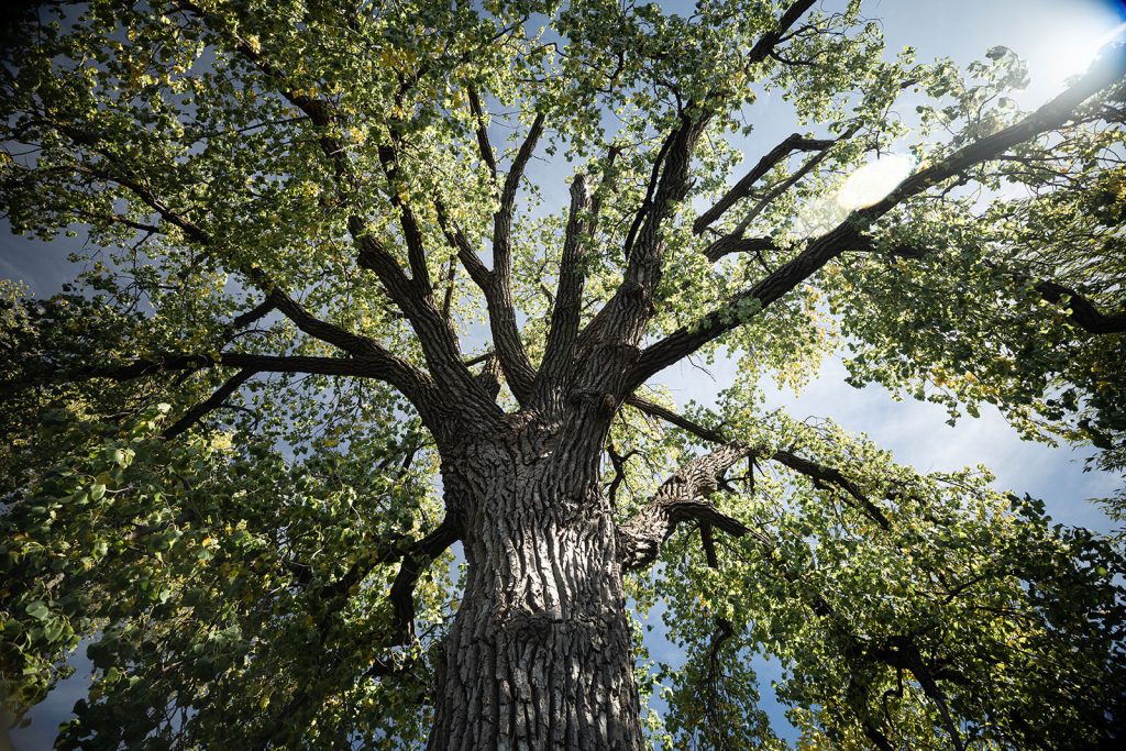 Q&A with Amy Fredregill | Earth Month 2023- Using Sustainability to Invest in our Planet