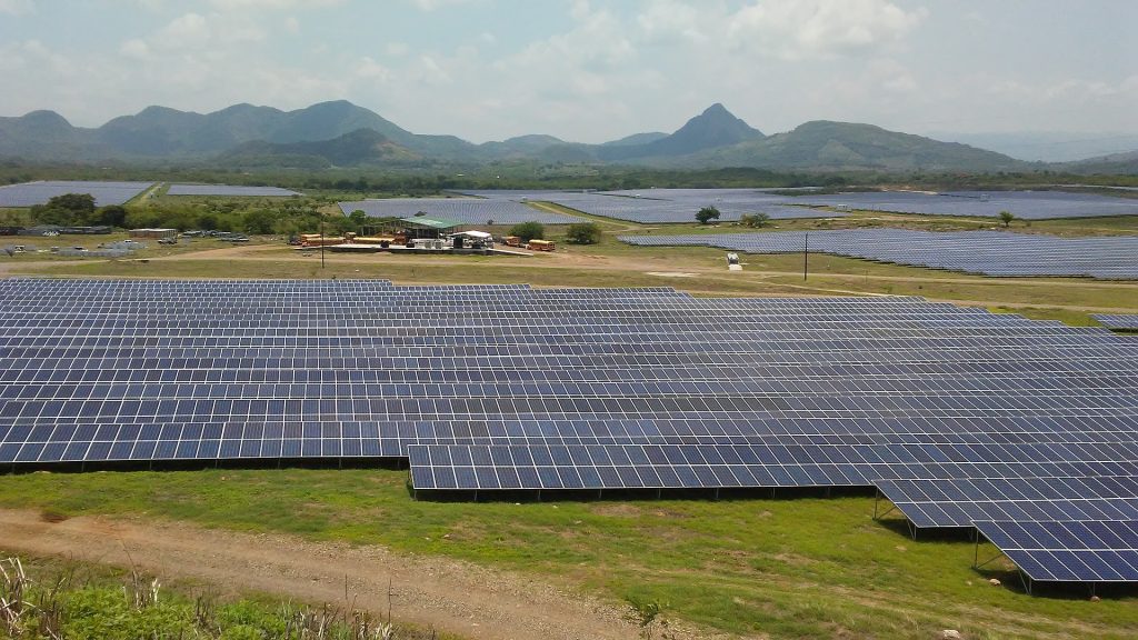 Understanding Utility-Scale Solar Project Impacts on Wildlife