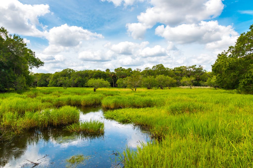An overview of wetland/water permitting in Minnesota