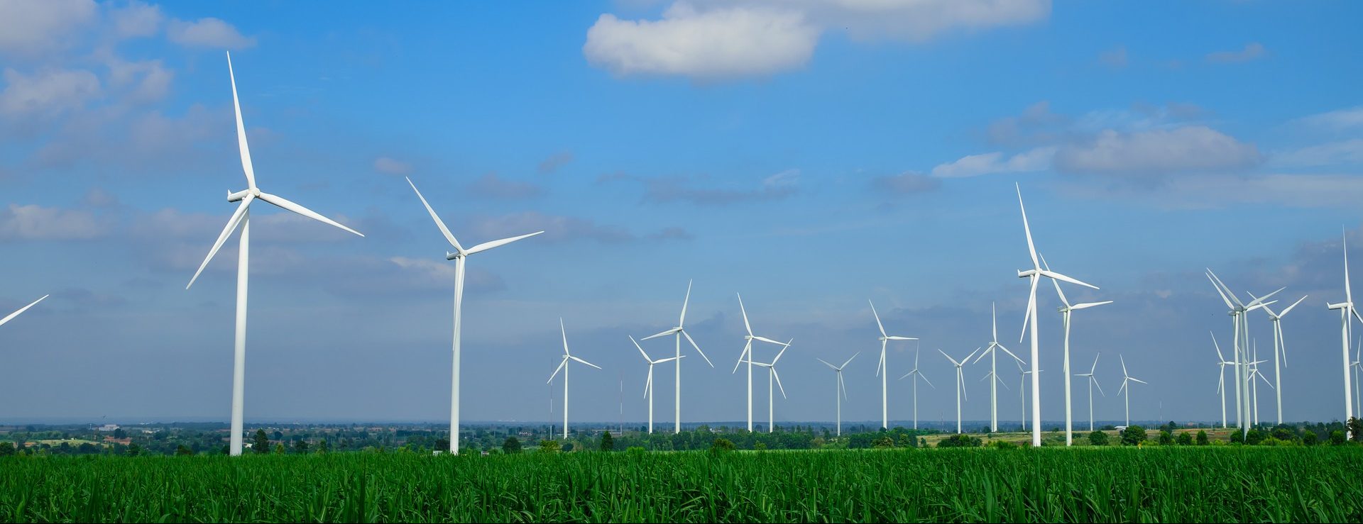 Wind turbines in a grass field