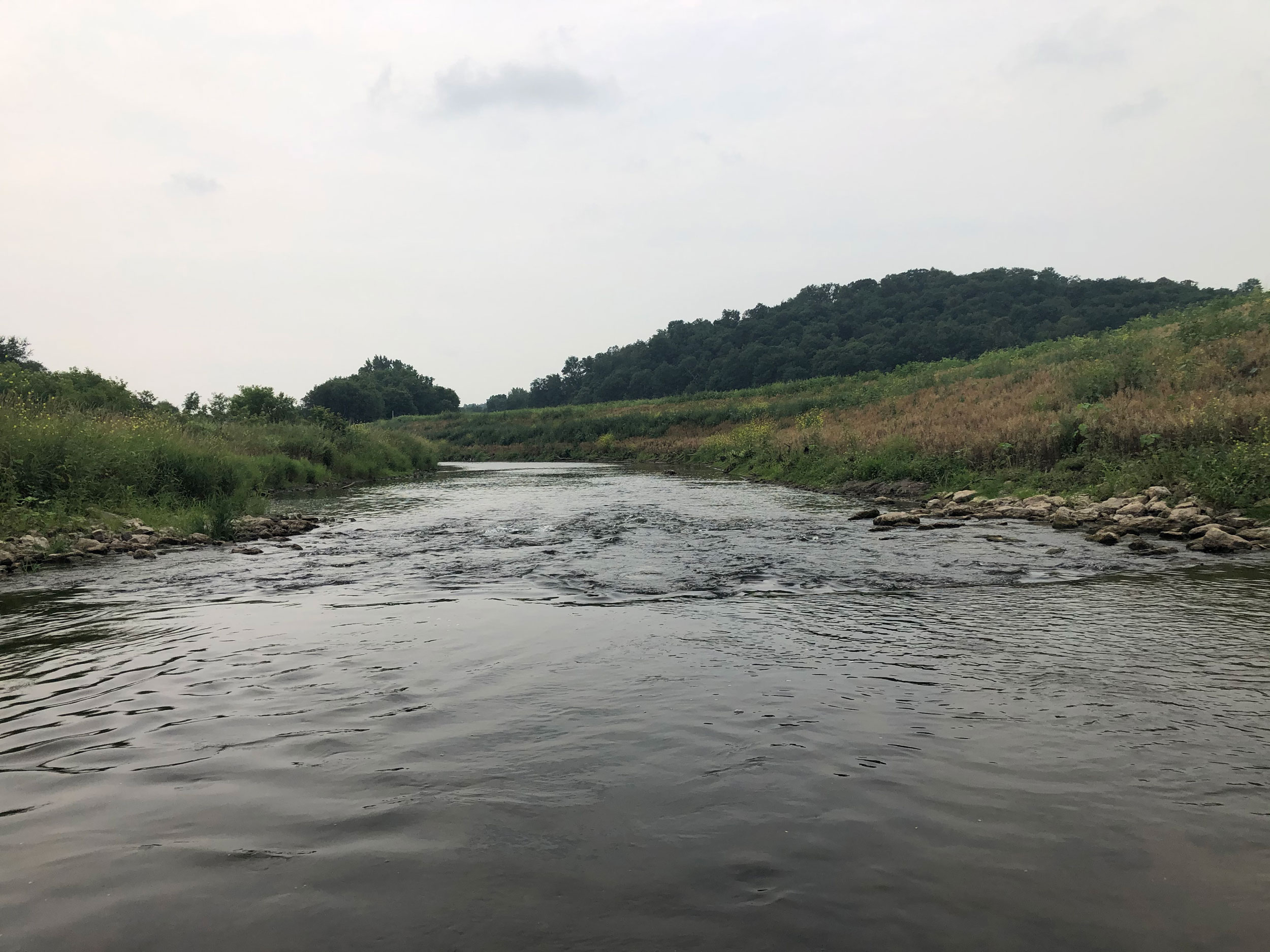Close up of the zumbro river with native plants on either side