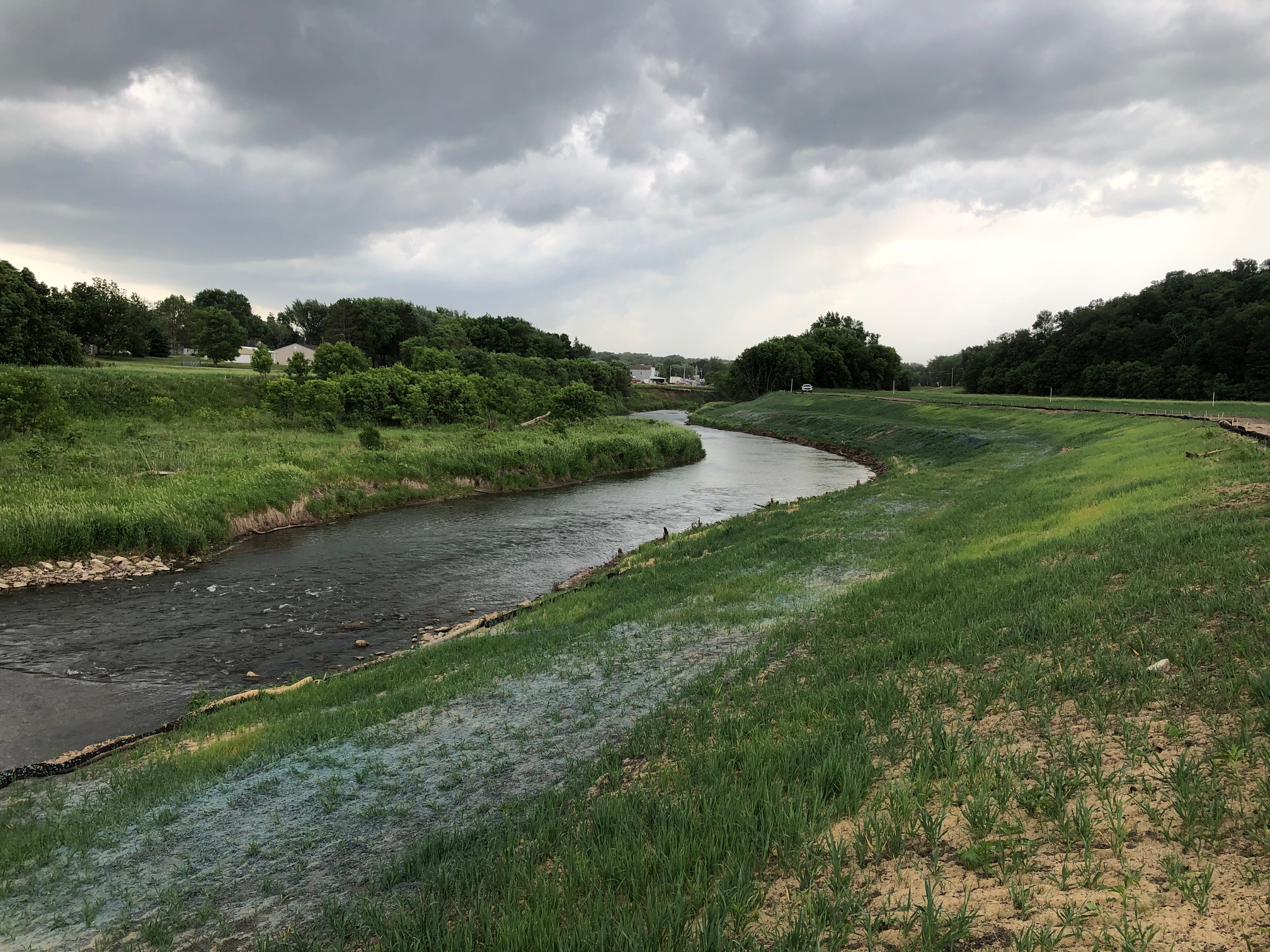 Zumbro river with native plants on either side