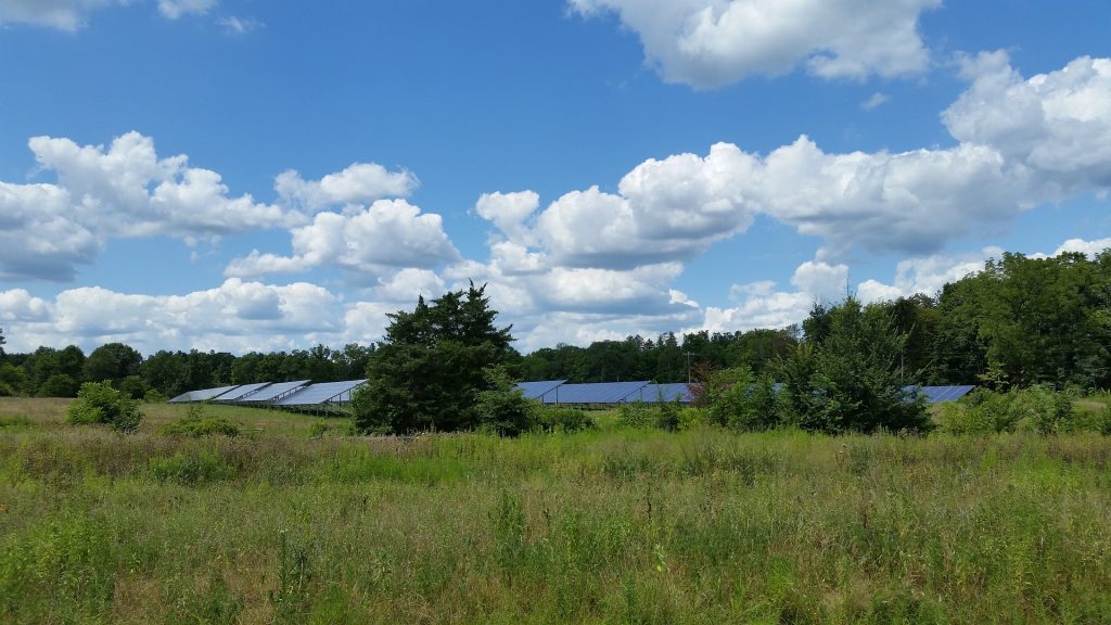 Solar Development and Wetland Regulation