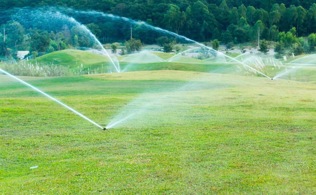 Smart Irrigation Starts with Design: How to Maximize Water Conservation Efforts