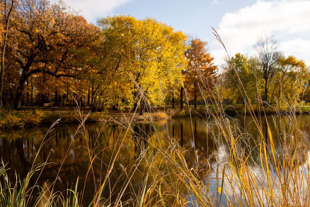 Grant Opportunities for Minnesota Cities