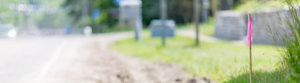 Blurred image of park