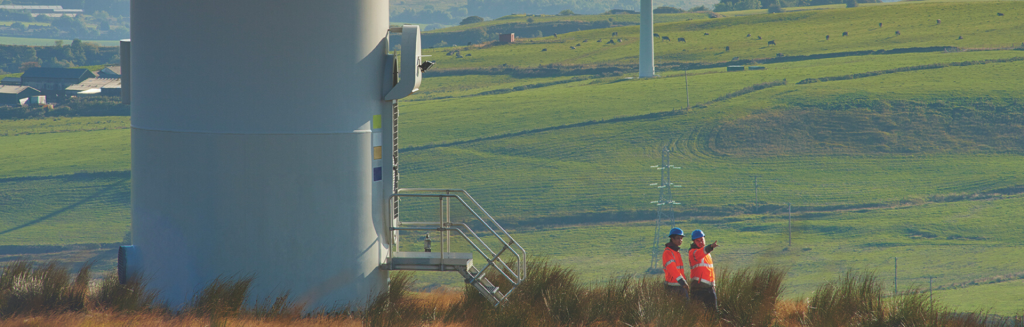 Environmental impacts of wind farm development