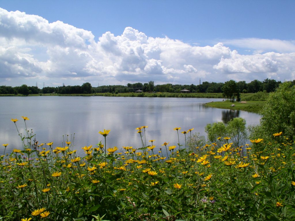 Build Resilience into Water Reuse Infrastructure and Systems