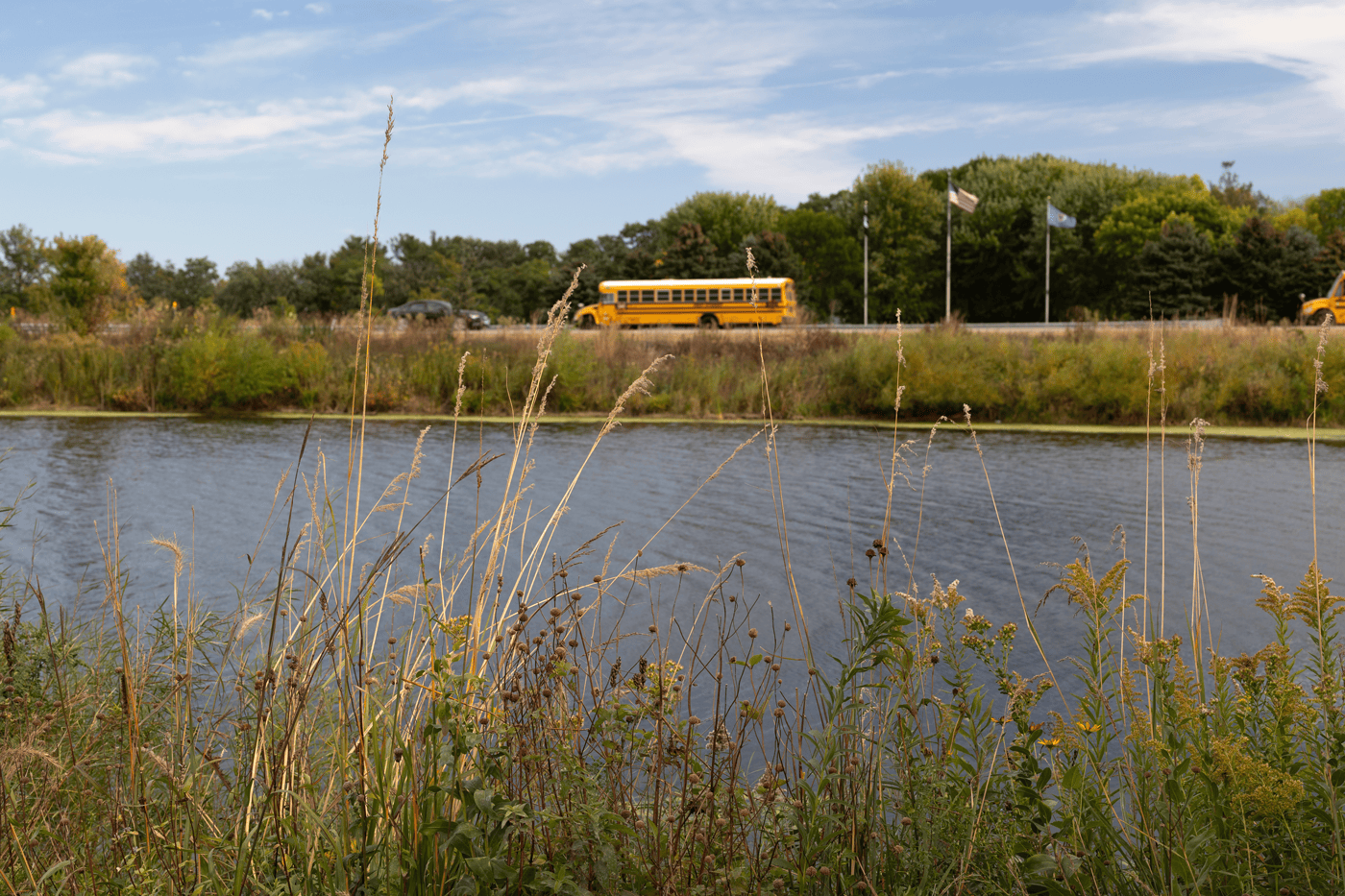 Serene landscape with a calm pond, tall grasses, wildflowers, and a yellow school bus on a tree-lined road with American flags under a clear sky.