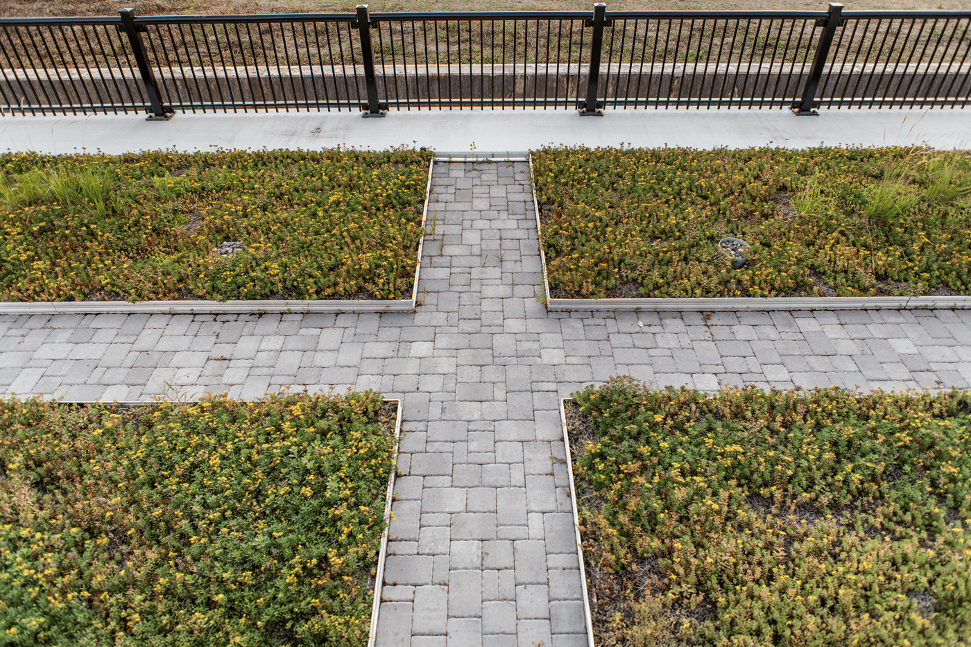 Paved cross-shaped pathway made of rectangular stone tiles, surrounded by green and yellow vegetation, with metal railings in the background separating the path from a grassy area and pond.