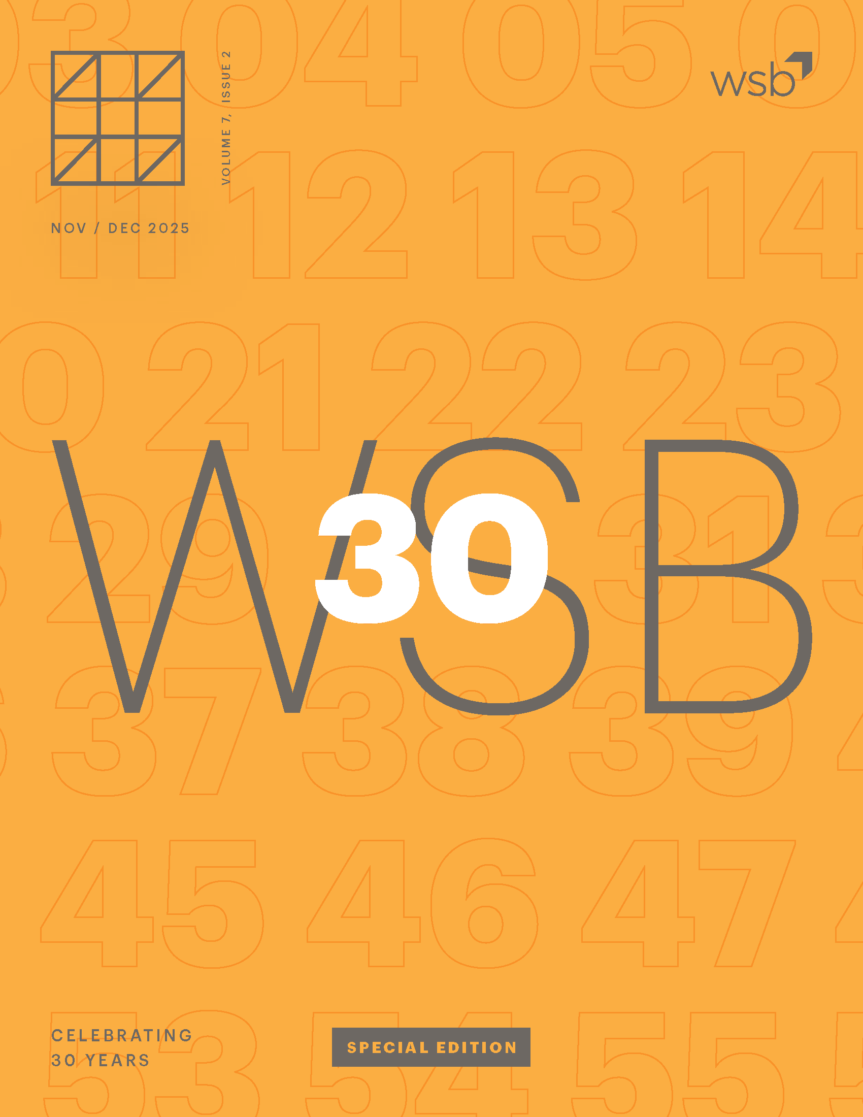 WSB Newsletter Volume 7 Issue 2 cover image with a large WSB with the number 30 above it.