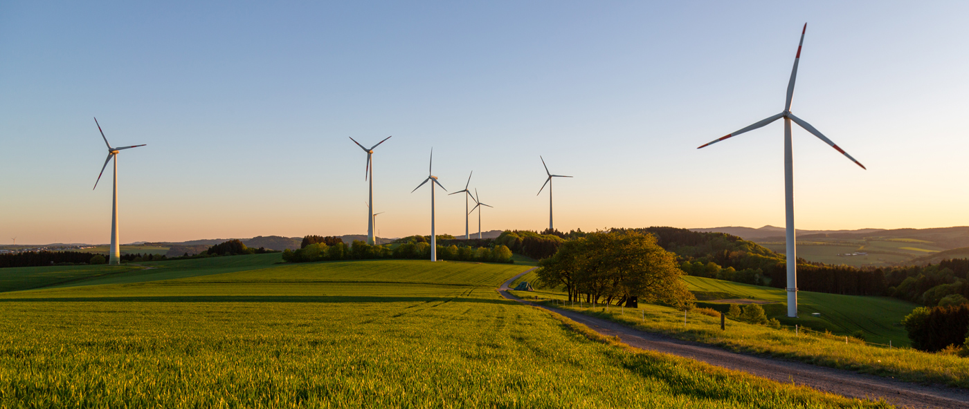 Wind turbines stand tall on a lush green hill under a clear blue sky. A dirt path winds through the landscape, suggesting a peaceful, sustainable scene.