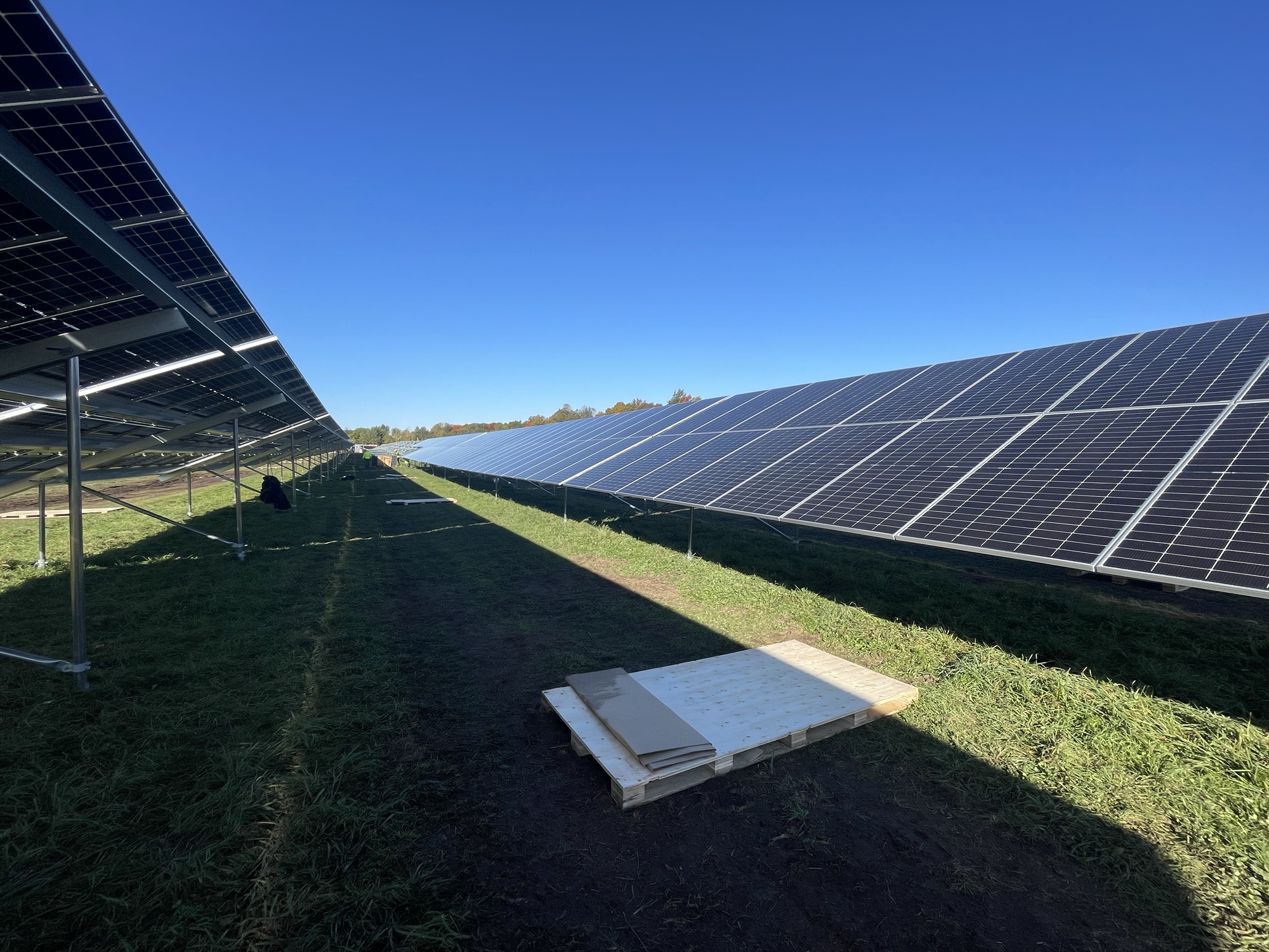View beneath fixed‑tilt agrivoltaic solar panels at the Constable Solar project, showing panel racking and clear ground access for agricultural use.