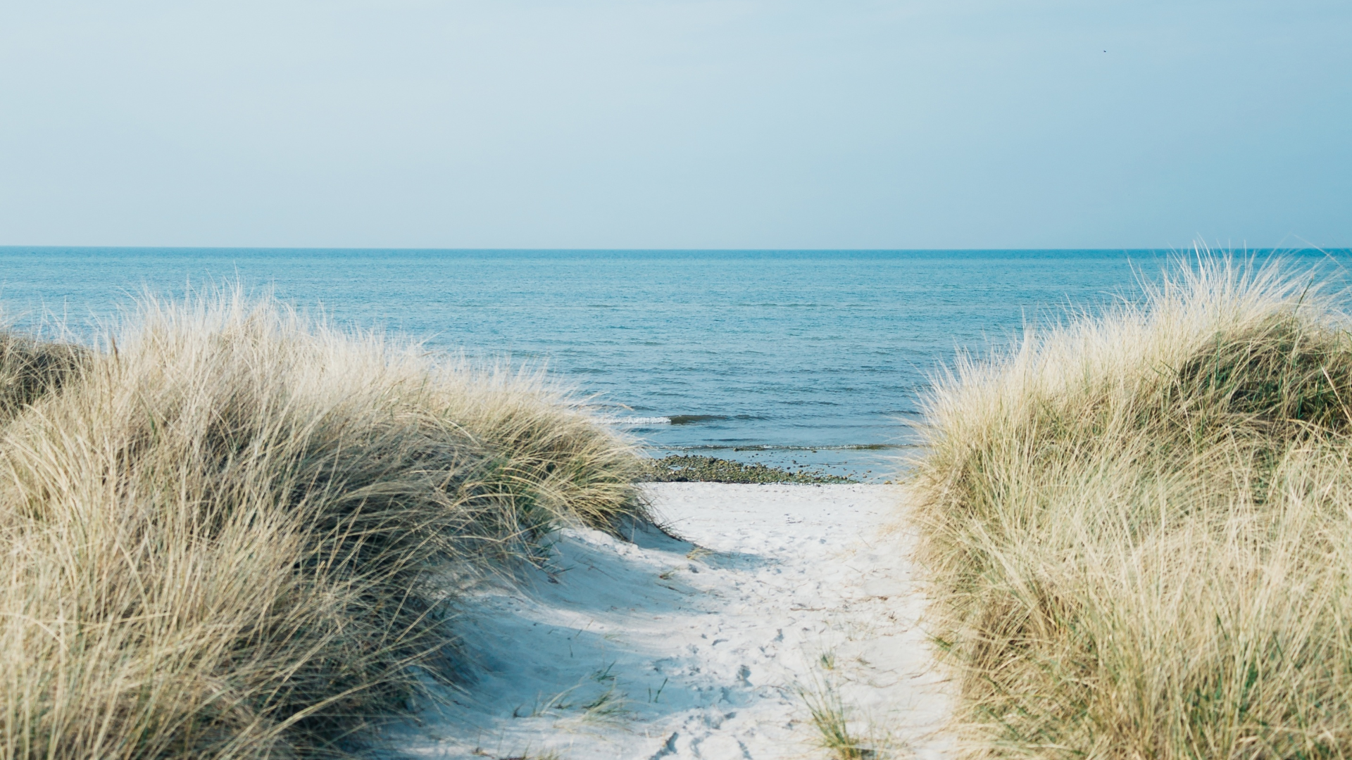 Sandy beach path between tall dune grasses leading to a calm body of water under a clear blue sky.
