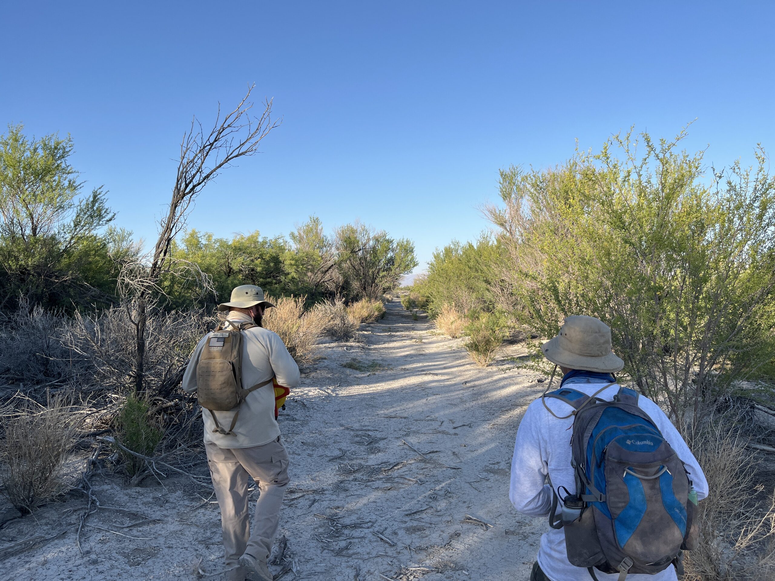 Field personnel walking along a dry slough channel bordered by desert vegetation during environmental assessment activities.