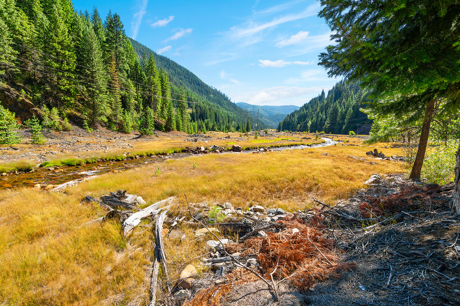 Forest-lined mountain valley with a winding stream, grassy meadow, and utility corridor under a clear blue sky.