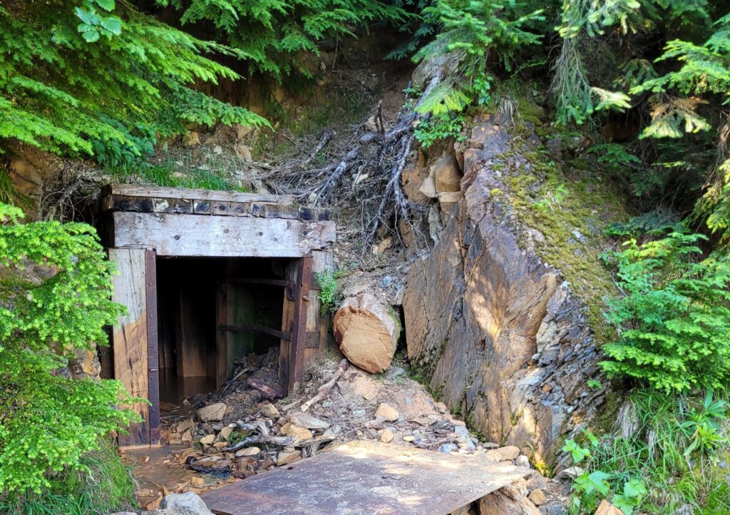 USFS | Champion Mine Removal Action Design