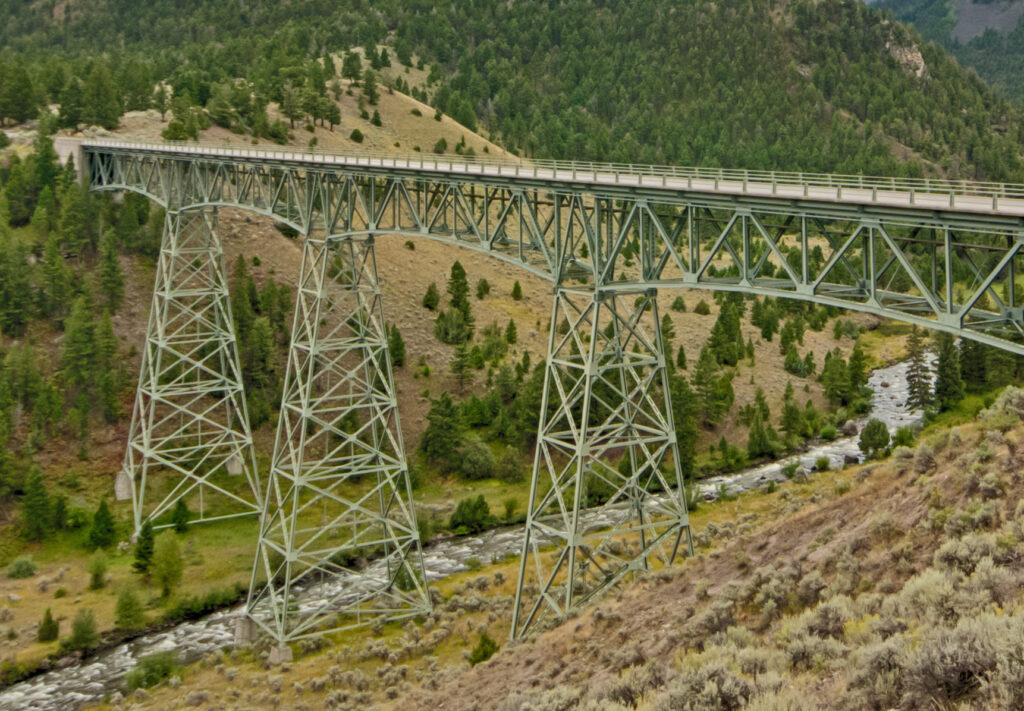 Birds and Bridges: Why Early Environmental Planning Pays Off 